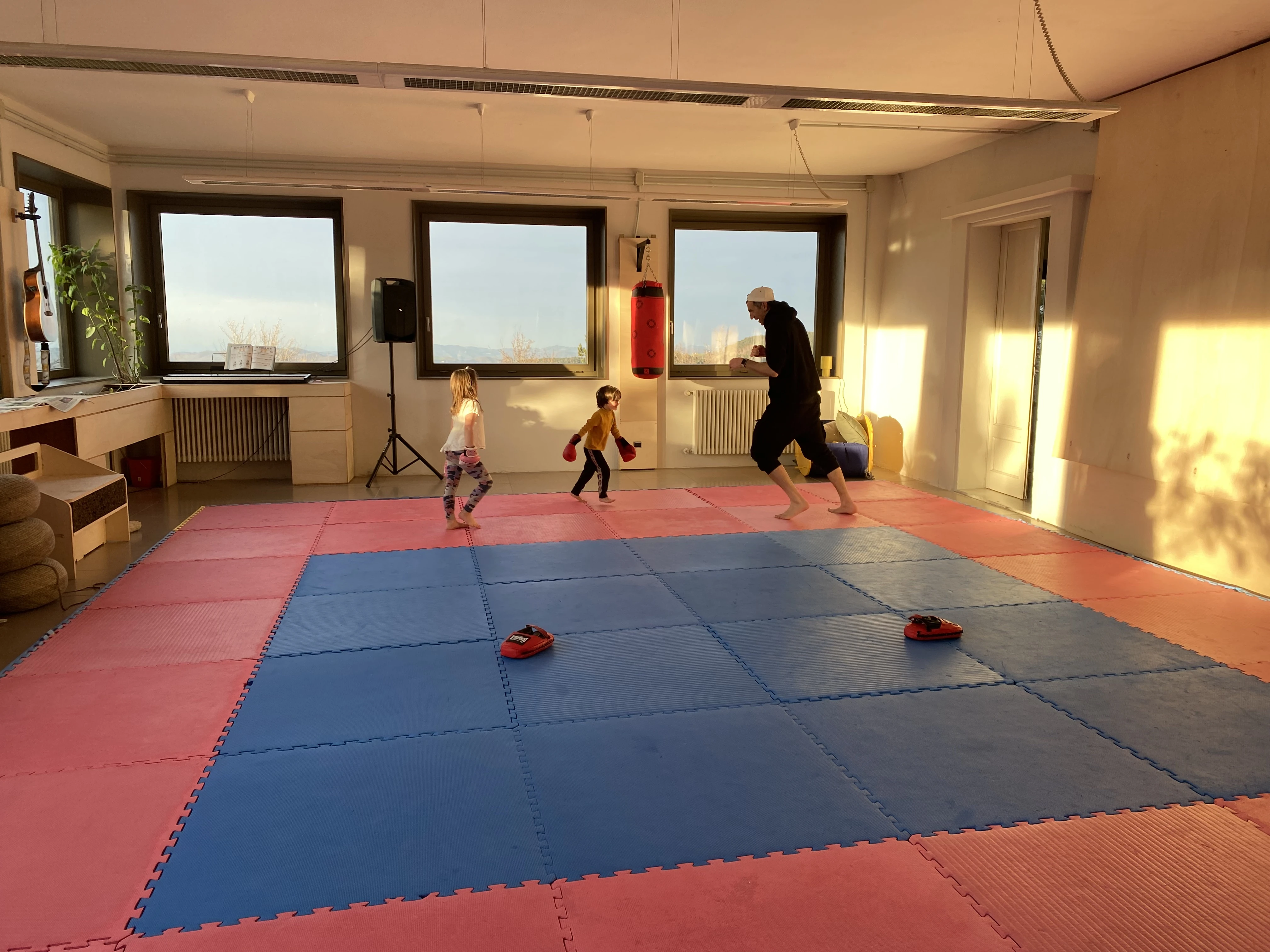 Judo and boxing studio