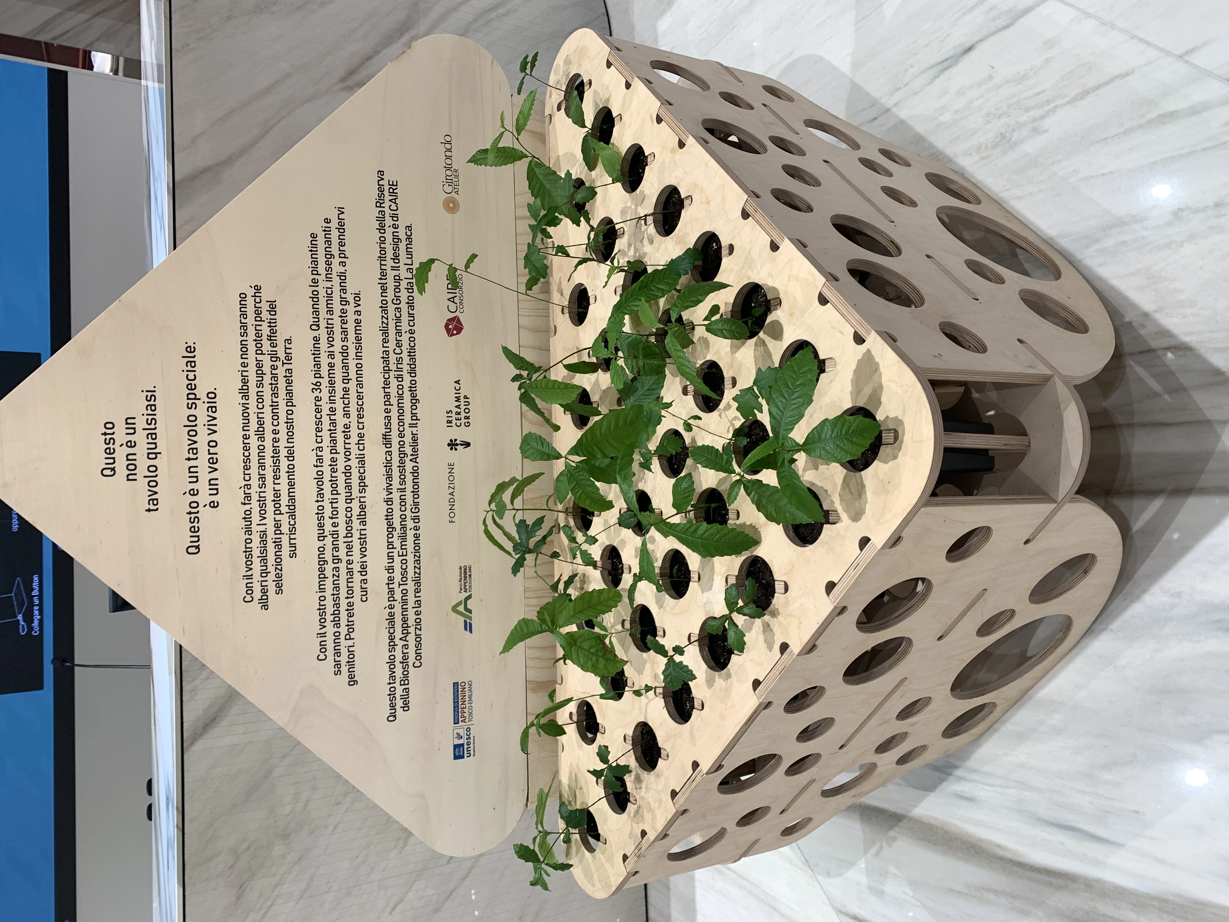 Tavolo-Grow tree propagation tables